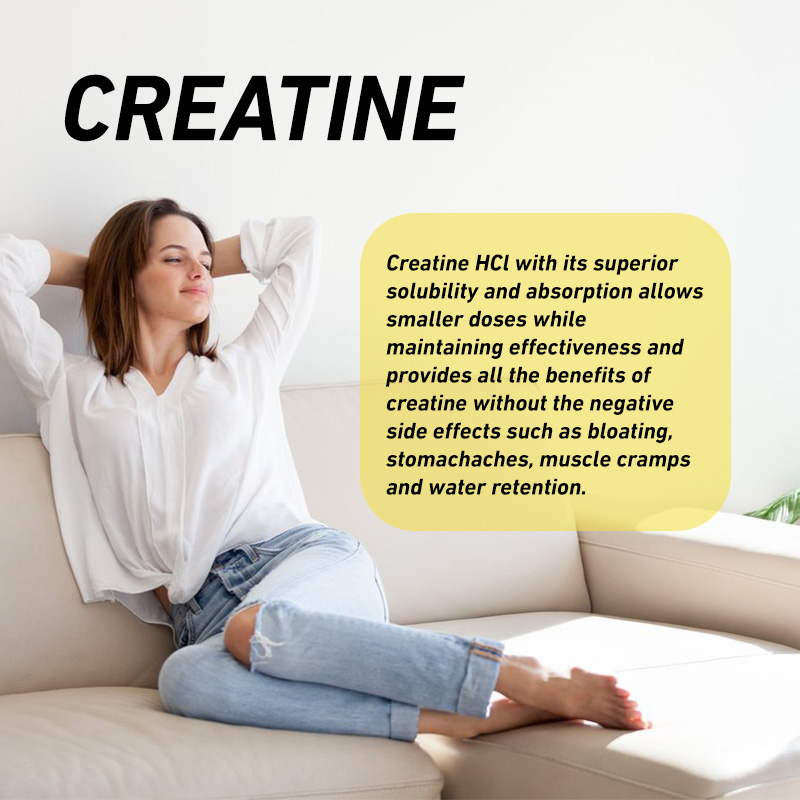 Cápsulas de Creatina HCL de Al - Creatine Hcl Capsule avaliação e preço